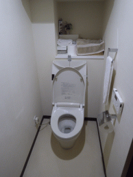 流線的で広くて深い手洗鉢が飛沫を抑えてきれいに 目黒区O様邸 流線的で広くて深い手洗鉢が飛沫を抑えてきれいに 目黒区O様邸